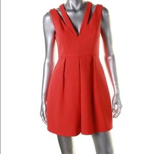 Bcbg maxazria Dress ☄️